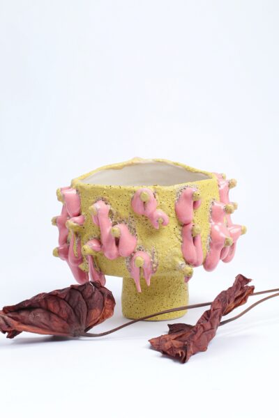 Vaso Bowl Amarelo e Rosa - Série Chaos