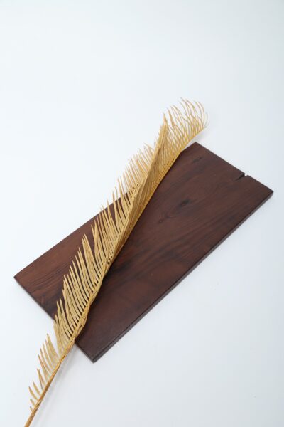 Tábua De Corte 22 -  Madeira Imbuia