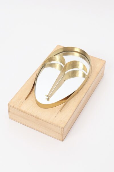 Máscara Face Espelho