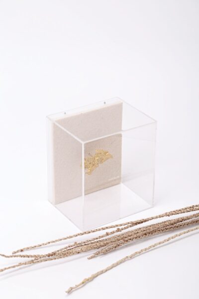 Gabinete de Curiosidades - Folha Texturizada