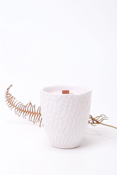 Vela Éden - Edição Limitada