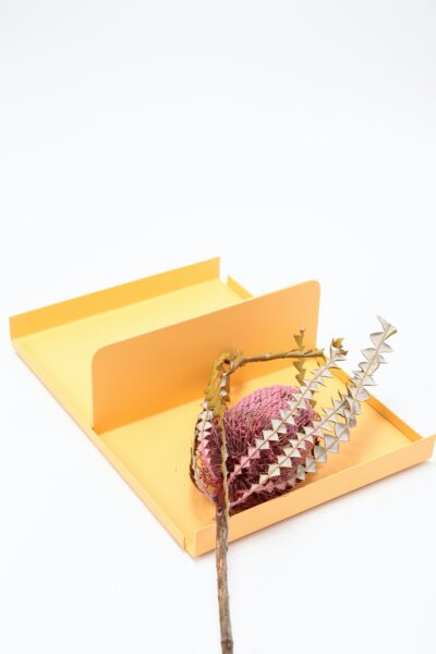 Bandeja Joy P - Damasco