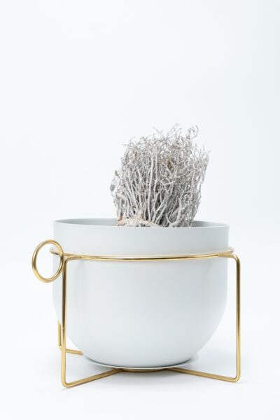 Champanheira 4Party!