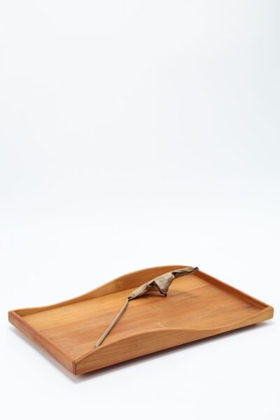 Bandeja G em Pinheiro Araucária