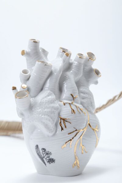 Vaso Coração Artéria - G