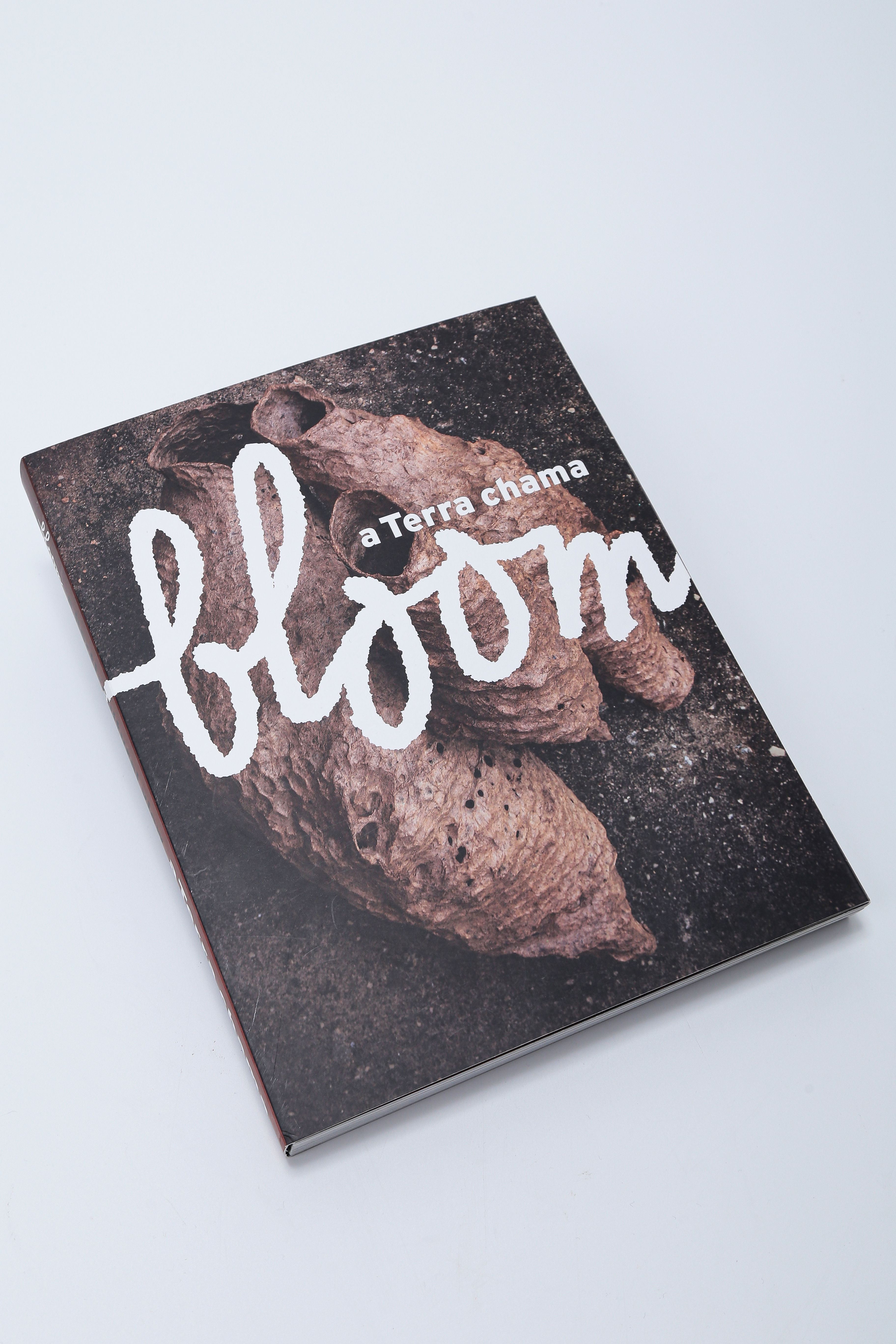 Livro A Terra Chama Bloom