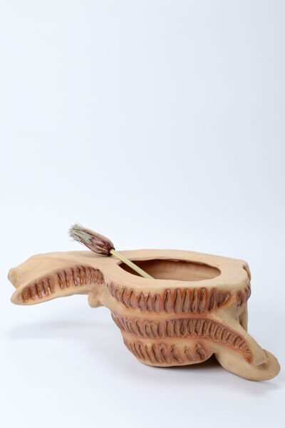 Esculturas Favas Flamboyant Natural